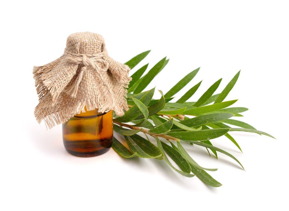 O aceite da árbore do té como parte da crema Demyxil